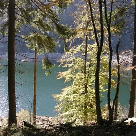 Centre De Zum Harzala * Colmar