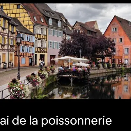 Centre De Zum Harzala Appartamento Colmar