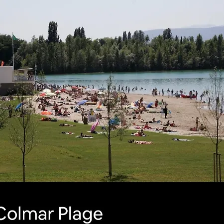 Centre De Zum Harzala * Colmar