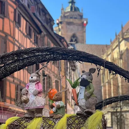 Centre De Zum Harzala